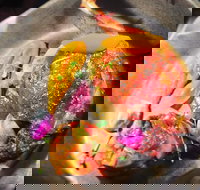 The Petit Snail - Accommodation NT