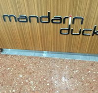 Mandarin Duck - NT Tourism