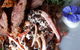 St Albi - thumb 6