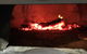 Fat Quoll Woodfire - thumb 15