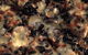 Fat Quoll Woodfire - thumb 16