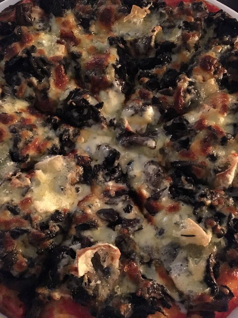 Fat Quoll Woodfire - NT Tourism 8