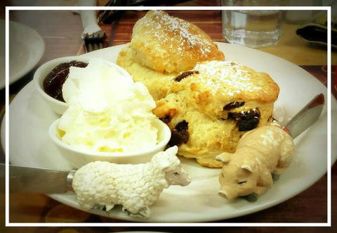 Sticky Beaks Cafe Longford Tasmania - Accommodation NT 0