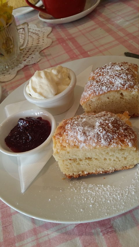 The Cake Lady Cafe - Accommodation NT 1