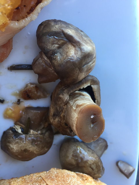 Over Board Cafe - Accommodation NT 1