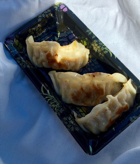Shushi Japanese Fusion - NT Tourism 1