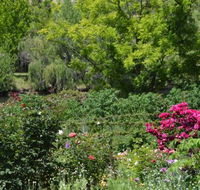 Berry Delightful - NT Tourism