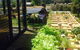 Petra Olive Oil Shed Door Tasting Room & Farm Shop - thumb 1