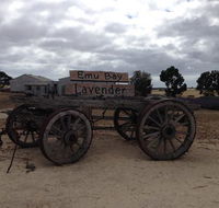 Emu Bay Lavender - NT Tourism