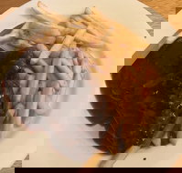 Mount Pleasant Hotel Motel