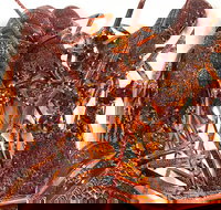 Sails Restaurant - Accommodation NT