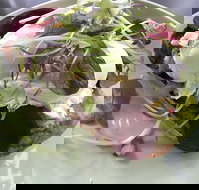 Public - Accommodation NT