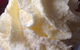 Pancakes In Paradise - thumb 5