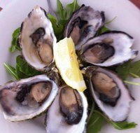 Noosa Yacht and Rowing Club - Accommodation NT