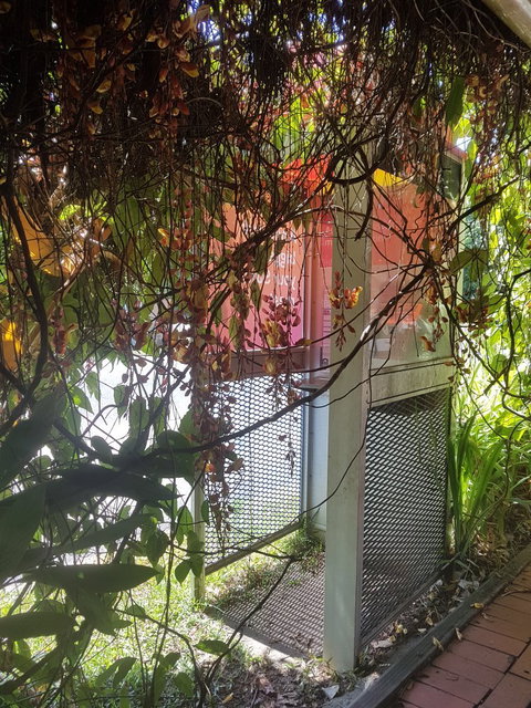 Bingil Bay Cafe - Accommodation NT 2