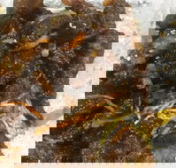 Diamond Chinese Take Away Foods