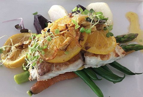 The Organik Store & Cafe - NT Tourism 1