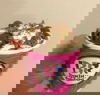Baskin Robbins Toowoomba - NT Tourism
