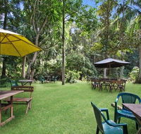 Rainforest - NT Tourism