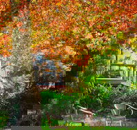 The Woods Ravensbourne - NT Tourism