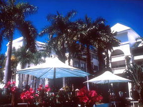 Alamanda Palm Cove - NT Tourism 1