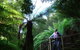 Huon Bush Retreats - thumb 1