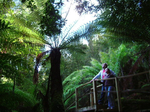 Huon Bush Retreats - Accommodation NT 1