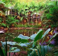 Daintree Eco Lodge  Spa - Accommodation NT
