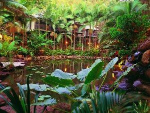 Daintree Eco Lodge & Spa - Accommodation NT 0