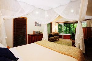 Daintree Eco Lodge & Spa - Accommodation NT 1