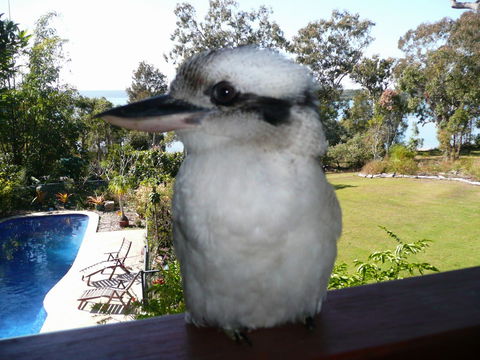 Yarrandabbi Dreaming Boutique B&B - Accommodation NT 2