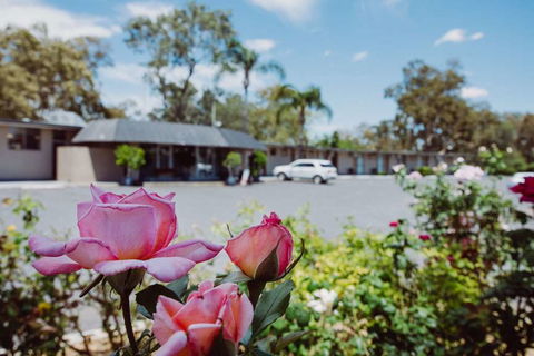 Artesian Spa Motor Inn - Accommodation NT 2