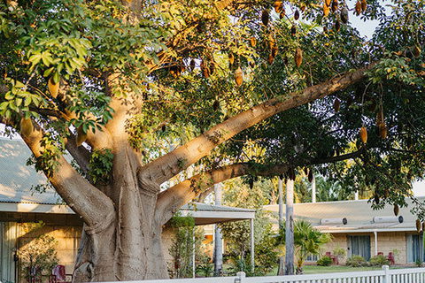 Kimberley Grande Resort & Conf Ctr - NT Tourism 0