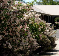 Wine Village Motor Inn - Accommodation NT