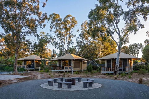 Discovery Parks Barossa Valley - Accommodation NT 0