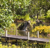 Cedar Park Rainforest Resort - Accommodation NT