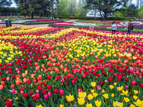 ALLARA CANBERRA - Accommodation NT 16