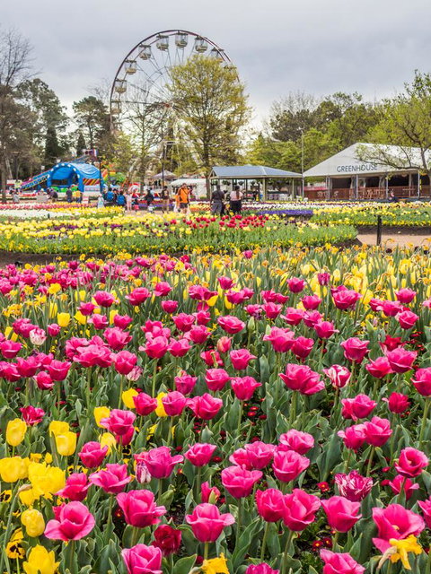 ALLARA CANBERRA - Accommodation NT 15