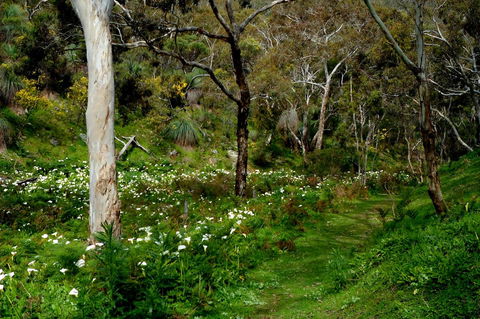 Lure Bed And Breakfast - NT Tourism 17