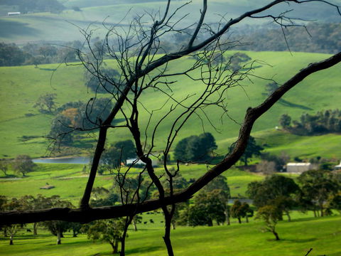 Lure Bed And Breakfast - NT Tourism 21