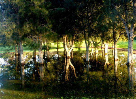 Lure Bed And Breakfast - NT Tourism 18