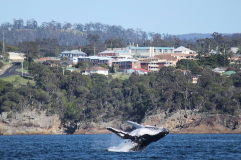 Heritage House Motel & Units - Accommodation NT 27
