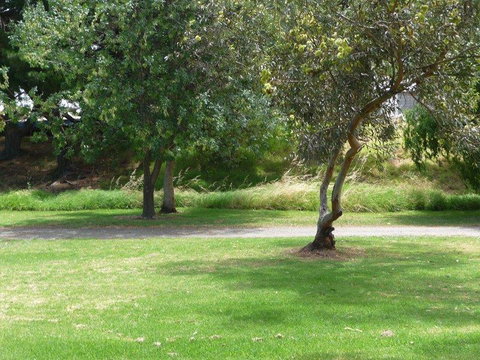 Victor Harbor Holiday Park - Accommodation NT 24