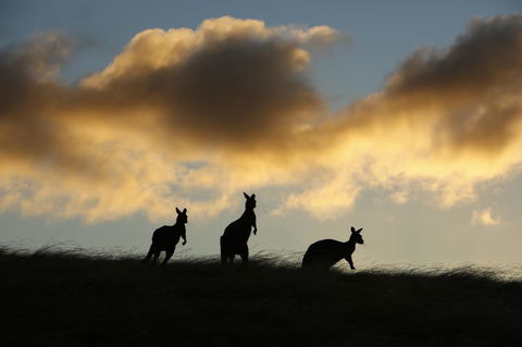 Sky House Kangaroo Island - Accommodation NT 37