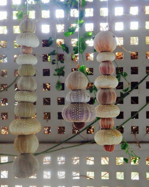 Driftwood On Dover - Accommodation NT 11