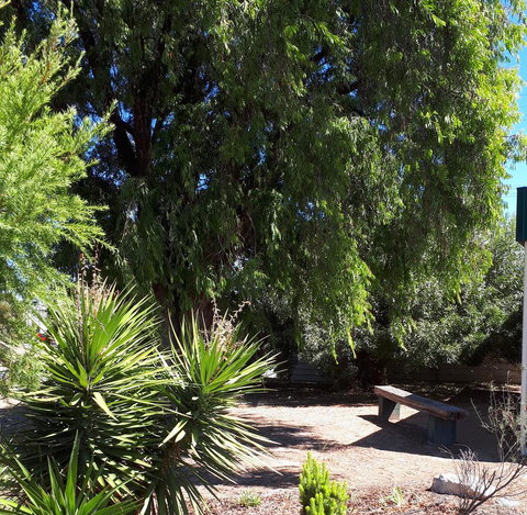 Bordertown Motel - Accommodation NT 4