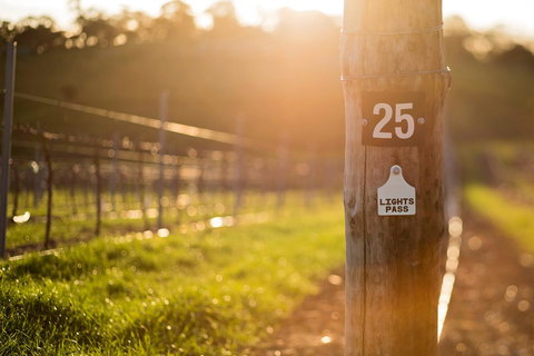 The Louise - Accommodation NT 44