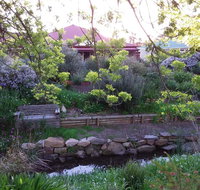 Frog Song at Willunga - Accommodation NT