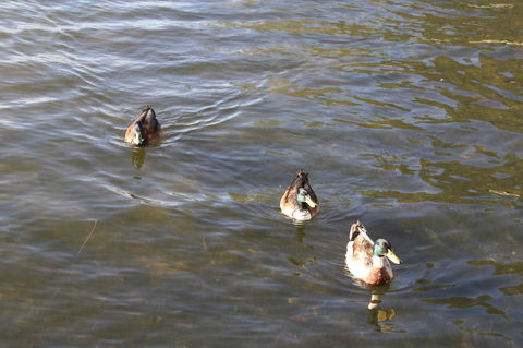 Serenity On Narrabeen Beach - 1Bdr Beachside Retreat - Accommodation NT 15