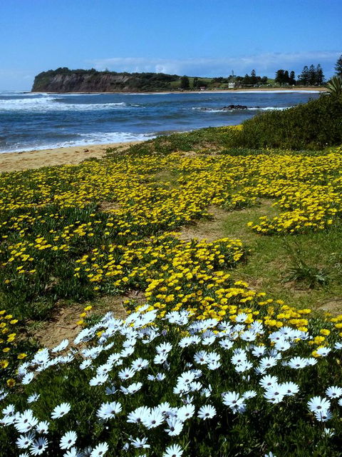 Serenity On Narrabeen Beach - 1Bdr Beachside Retreat - Accommodation NT 10
